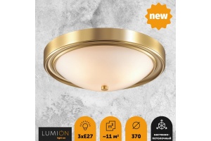 Настенно-потолочный светильник Lumion Vintage Nina 5259/3C - 3