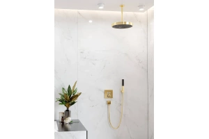 Душевая лейка Hansgrohe Rainfinity 100 1 jet Ecosmart полированное золото - 3