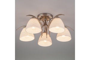 Потолочная люстра Eurosvet Megan 30121/5 сатин-никель