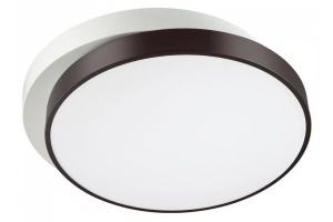 Потолочный светодиодный светильник Lumion Ledio Agatha 4509/72CL