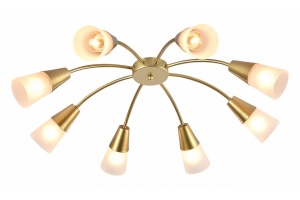 Потолочная люстра Escada Aquilegia 1100/8P Chrome