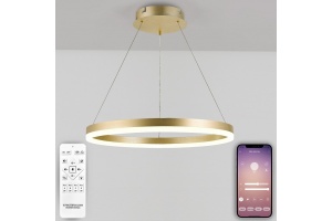 Подвесной светильник Natali Kovaltseva Oreol LED LAMPS 81296 - 2