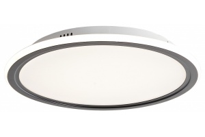 Накладной светильник Zortes GALO ZRS.10112.01