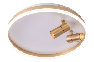 Накладной светильник Zortes Raizy ZRS.1888.02 - 2