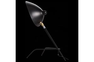 Настольная лампа декоративная ST-Luce Spruzzo SL305.404.01 - 2