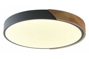 Накладной светильник Zortes ALBERRO ZRS.01280.48