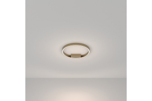 Накладной светильник Maytoni Rim MOD058CL-L25BSK - 3