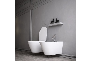 Унитаз подвесной с функцией биде Boheme Avva с крышкой белый матовый - 2