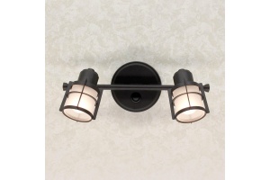 Спот Citilux Реймс CL563521