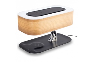 Настольная лампа Citilux Ньютон CL803042