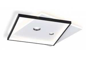 Накладной светильник Ambrella FL FL5065