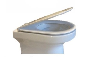 Унитаз подвесной Jacob Delafon Elite EDX114RU-00 безободковый - 2