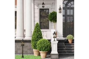 Уличный светильник Odeon Light Nature Sation 4045/1C - 3