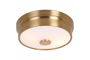 Накладной светильник Favourite Pannikin 2375-2C