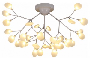 Потолочная люстра EVOLUCE Avola SLE250102-36