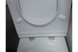 Крышка-сиденье Jacob Delafon Rodin+ E23280-00 с микролифтом - 2