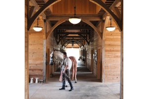 Светильник на штанге Hinkley Mayflower HK-MAYFLOWER-P-A - 2