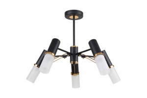 Люстра на штанге F-promo Viator 2558-5P