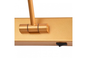 Подсветка для картины Arte Lamp Harrison A1709AP-1GO - 2