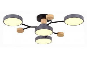 Потолочная люстра EVOLUCE Faema SLE6006-702-04 - 2