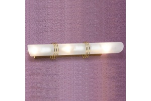 Накладной светильник Lussole Selvino LSA-7701-03