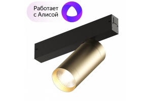 Трековый светодиодный светильник Denkirs Smart Spot DK8020-BG - 2