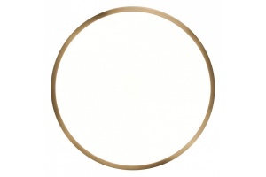 Накладной светильник Zortes Monna ZRS.1209.10 - 2