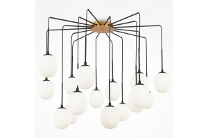 Потолочная люстра Maytoni Branch MOD176PL-16G