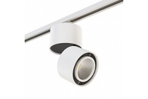 Светильник на штанге Lightstar Rullo A1T214816 - 2