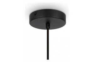 Подвесной светильник Maytoni Roots MOD191PL-01W - 3