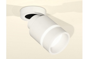 Спот Ambrella Light XM XM8110004 - 2