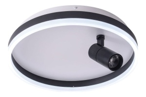 Накладной светильник Zortes Raizy ZRS.1888.03 - 2