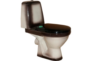 Унитаз-компакт напольный Rosa Премьер 4620008191188