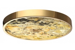 Накладной светильник Odeon Light Bergi 5079/40L - 2