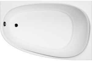 Акриловая ванна Am.pm Like 170x110 см (W80A-170R110W-A)