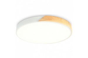 Накладной светильник Ambrella Light FZ FZ1301