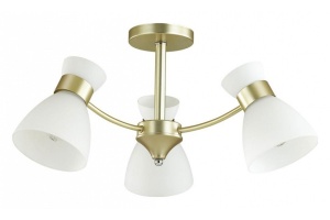 Потолочная люстра Lumion Comfi Wilma 4535/3C