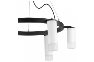 Подвесная люстра Lightstar Rullo LR0163638631 - 3