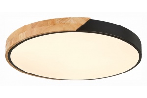 Накладной светильник EVOLUCE Festa SLE200942-01 - 2