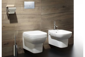 Чаша для унитаза подвесного Jacob Delafon Replay E4833 - 2