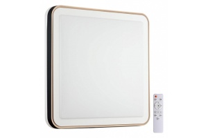 Настенно-потолочный светодиодный светильник Sonex Akuna 7621/DL