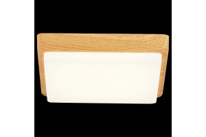 Накладной светильник EVOLUCE Taddio SLE200202-01 - 3