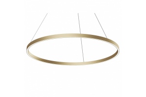 Подвесной светильник Maytoni Rim MOD058PL-L54BSK