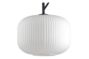 Подвесной светильник Odeon Light Pendant Roofi 4754/1