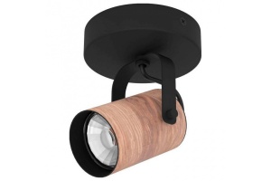 Спот Eglo Cayuca 900436