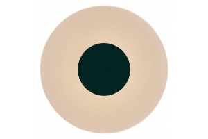 Настенный светодиодный светильник Mantra Venus 8013