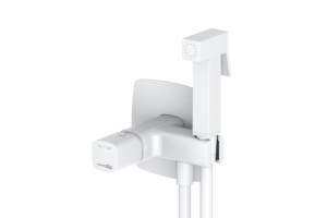 Saale 9538 Встраиваемый смеситель для душа с гигиенической лейкой