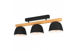 Потолочный светильник Eglo Sherburn 43738