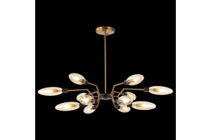 Потолочная люстра ST-Luce Desima SL1174.303.12 - 2