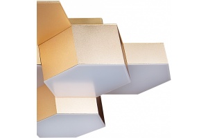 Потолочный светильник Lightstar Favo 750123 - 2